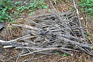 RISK OF DEFORESTATION