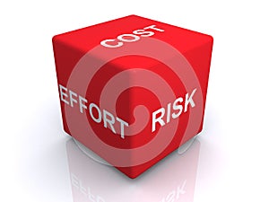 Risk effort and cost