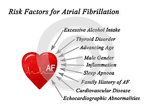 Risk Factors for Atrial Fibrillation