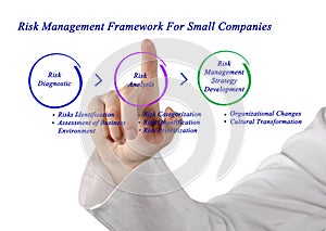Risk Management Framework For Small Companies