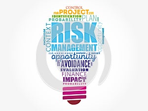 Risk Management light bulb word cloud