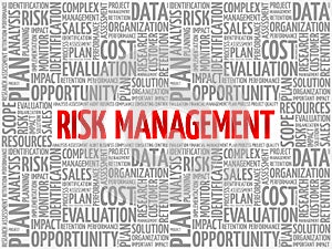 Risk Management word cloud