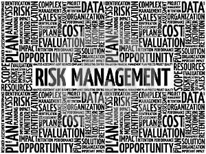 Risk Management word cloud