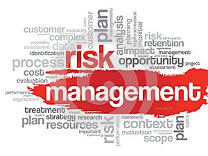 Risk Management word cloud