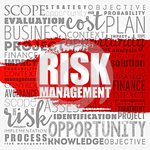 Risk Management word cloud collage, business concept background