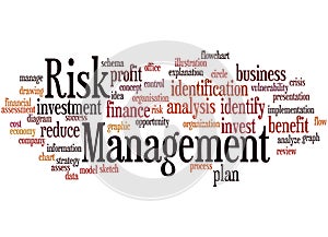 Risk Management, word cloud concept 8