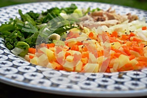 Risole stuffing, indonesian meal