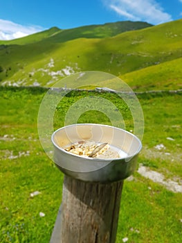 Risotto on the alps