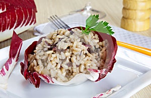 Risotto with cicory, radicchio