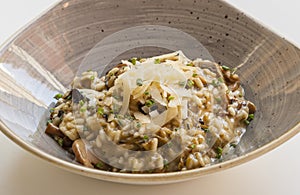 Risotto dish with mushrooms
