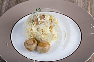 Risotto with mushroom