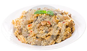 Risotto with mushrooms