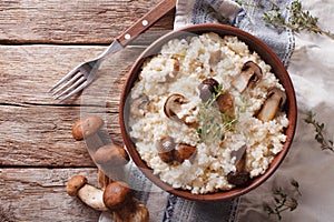 Risotto with porcini mushrooms and thyme close-up. horizontal to