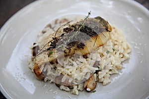 Risotto with sea bass fillet steak on wooden table , italian food