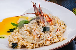 Risotto with seafood on white plate