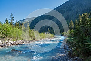 Rissbach river Hinterriss, with trees at the riverside, tyrolean landscape