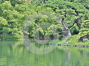 Ritsurin Garden in Takamatsu, Japan.