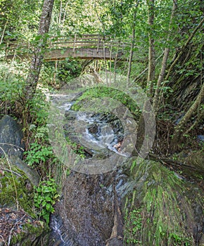 Riu dels Cortals creek in the Andorran nature