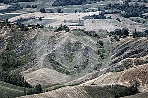 Rivalta di Lesignano Parma, Italy: summer landscape