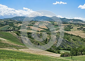 Rivalta di Lesignano Parma, Italy: summer landscape