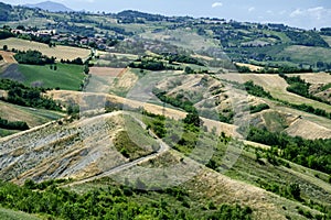 Rivalta di Lesignano Parma, Italy: summer landscape