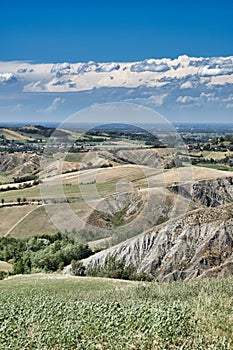 Rivalta di Lesignano Parma, Italy: summer landscape