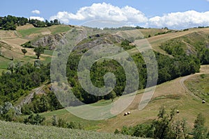 Rivalta di Lesignano Parma, Italy: summer landscape