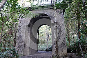 Rivendell Gate near Wellington, New Zealand