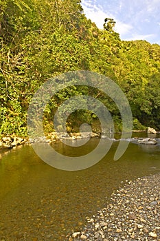 Rivendell, Kaitoke Regional Park, New Zealand