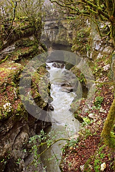 The river Abasha in the Martvili Gachadili canyon, Georgia