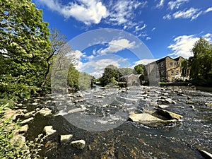 The River Aire, as it flows past, Hirst Wood, Shipley, Yorkshire, UK