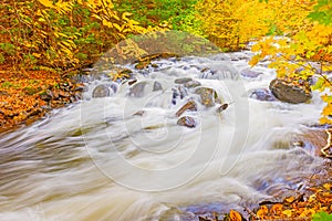 River in Algonquin Park in Ontario, Canada.