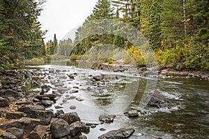 River in Algonquin Park - Ontario, Canada