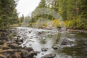 River in Algonquin Park - Ontario, Canada photo