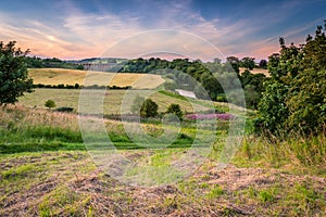 River Aln Country Walk at Lesbury