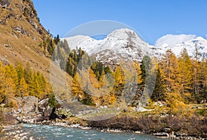 River in alp landscape