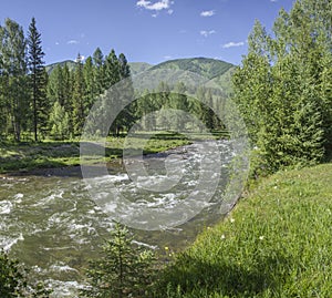 River in the Altai Mountains, summer