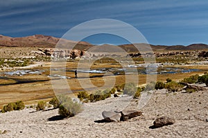 River in Altiplano Boliviano