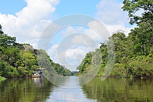 River in the Amazon jungle, Peru