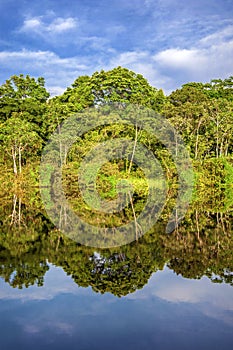 River in the Amazon Rainforest, Peru, South America