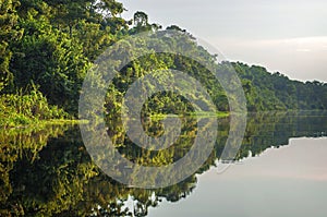 River in the Amazon Rainforest, Peru, South America