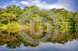 River in the Amazon Rainforest, Peru, South America