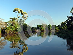 River in Amazonia