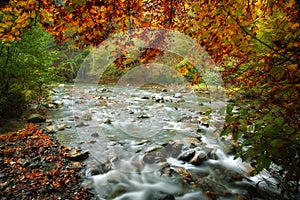 Řeka na podzim 