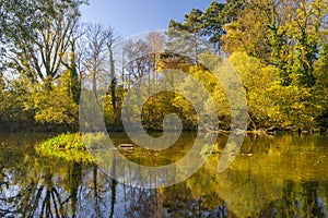 River in autumn