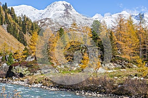 River in autumn alp valley