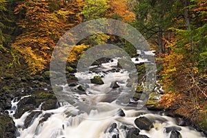 River through autumn colours in Scotland