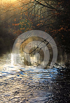 River in Autumn with Fall color on trees. Copy space.