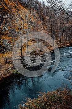 River in an autumn forest in China, Nei Monggol photo