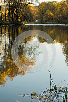 River with autumn forest in Siberia